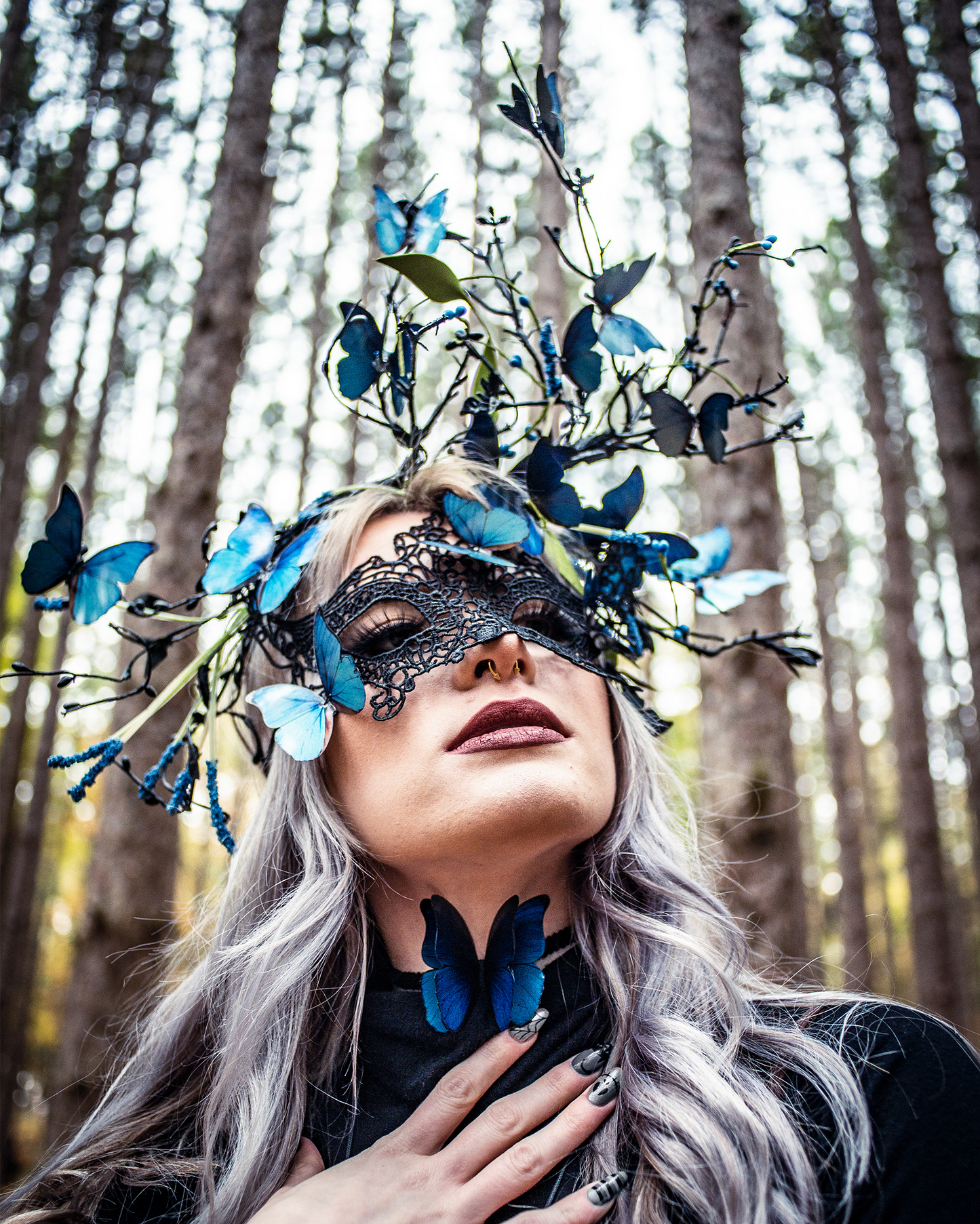 blue morpho butterfly set