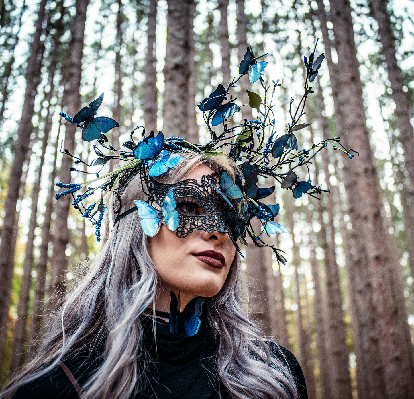 blue morpho butterfly set