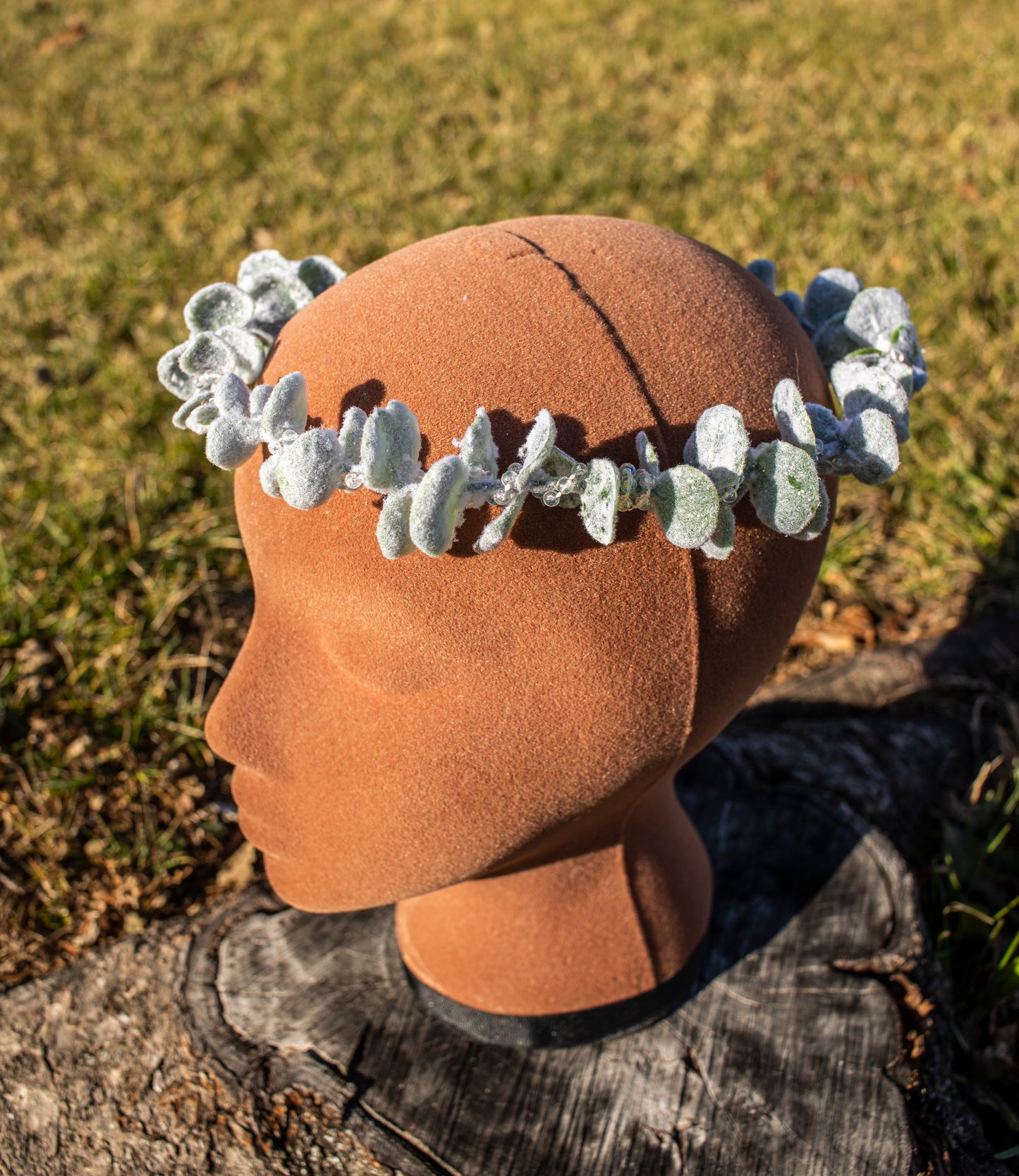 Winter Snowy Eucalyptus Crown