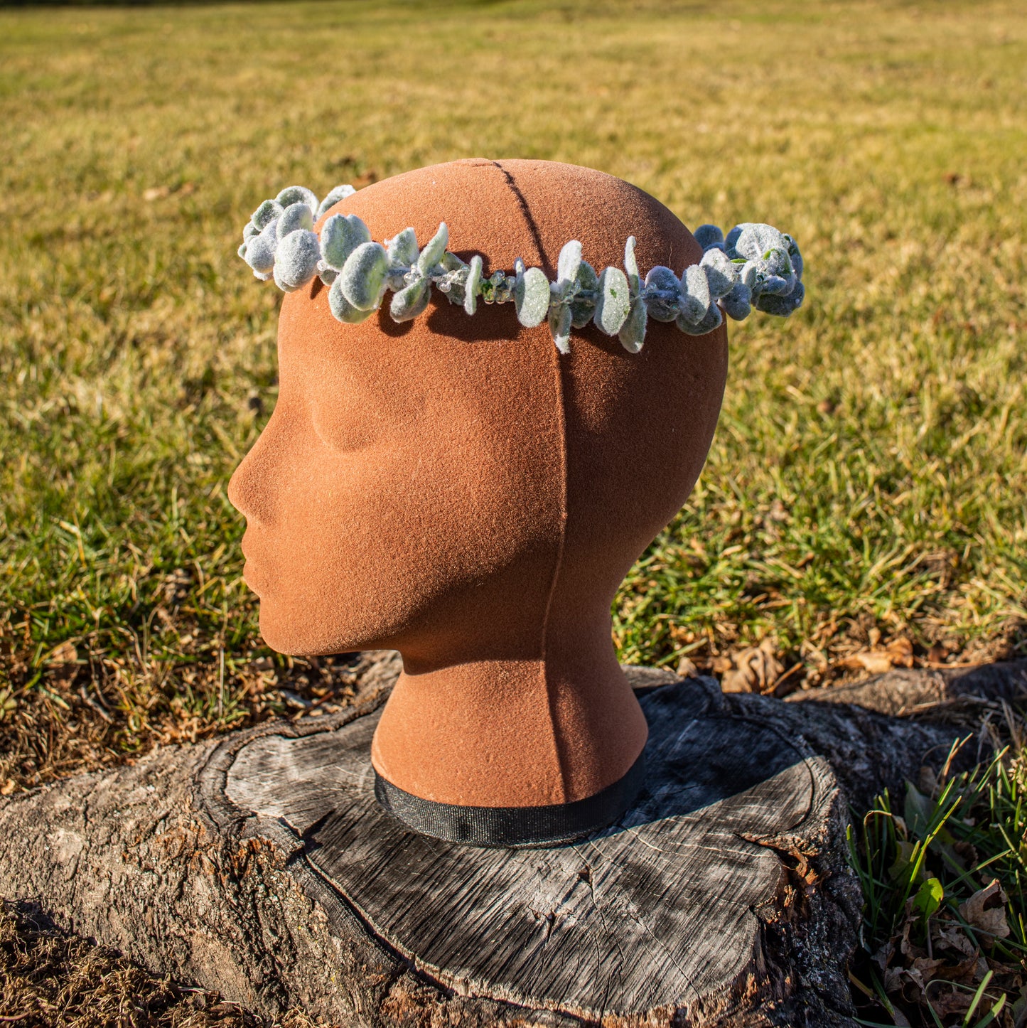 Winter Snowy Eucalyptus Crown
