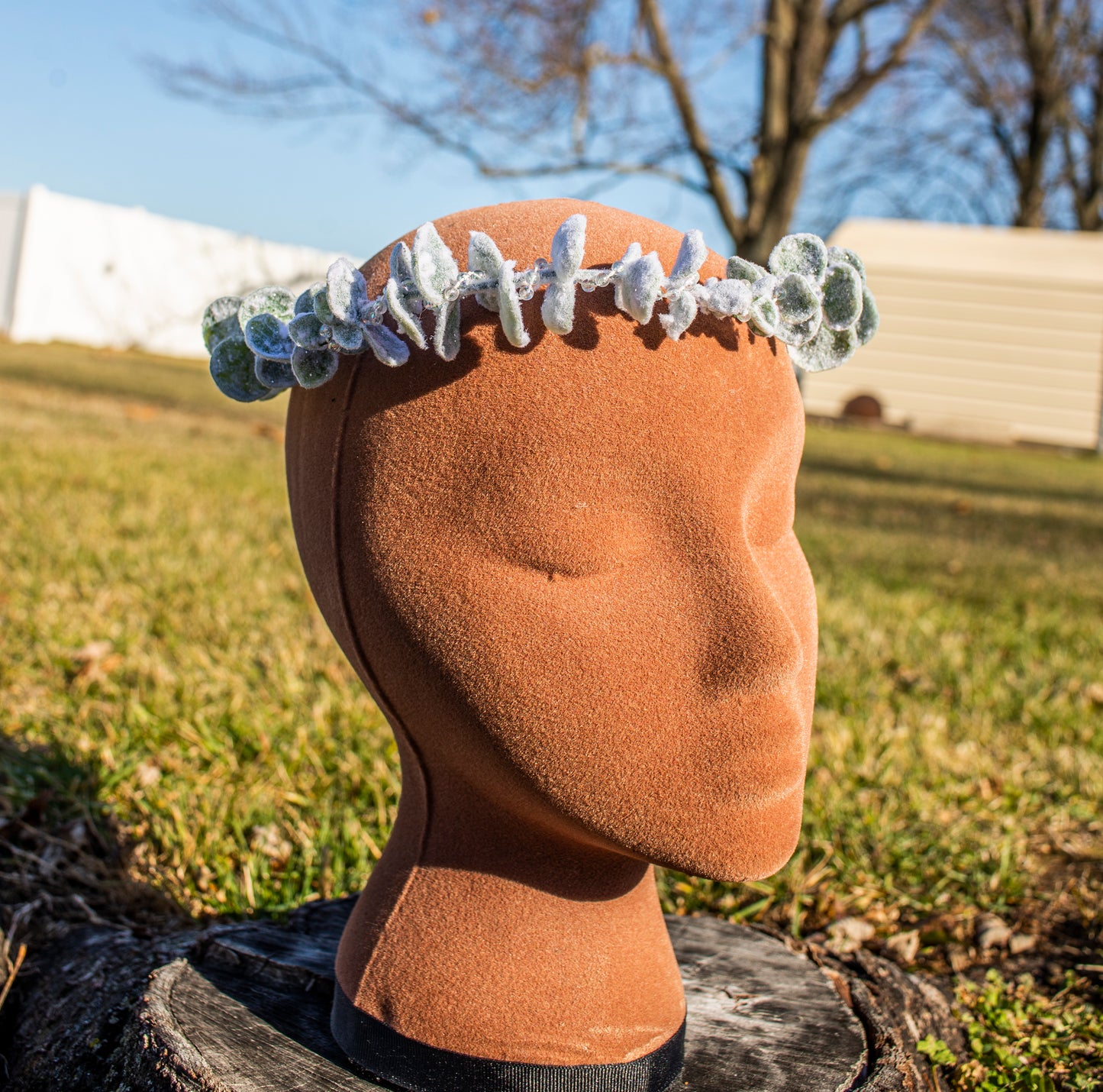 Winter Snowy Eucalyptus Crown