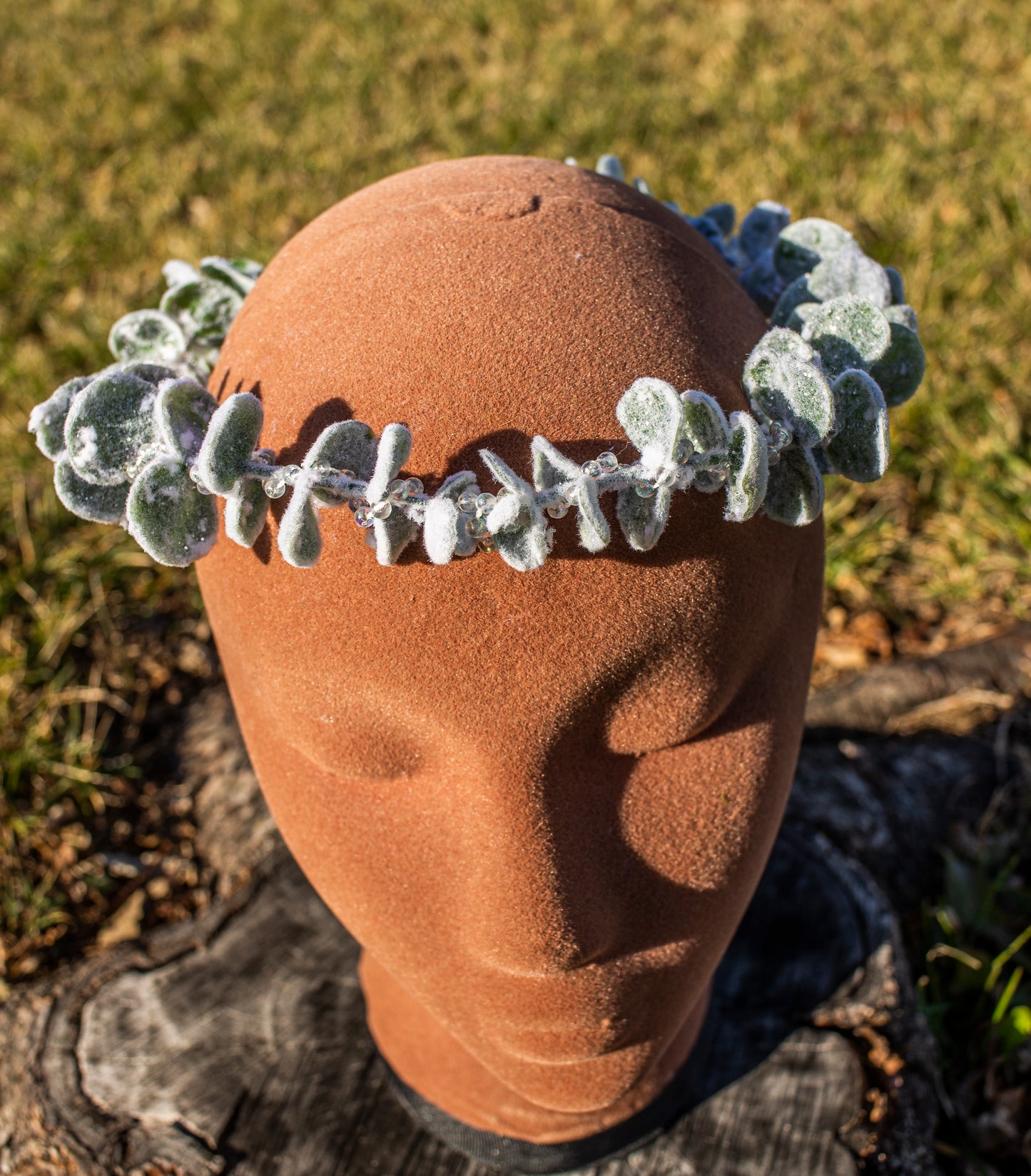 Winter Snowy Eucalyptus Crown
