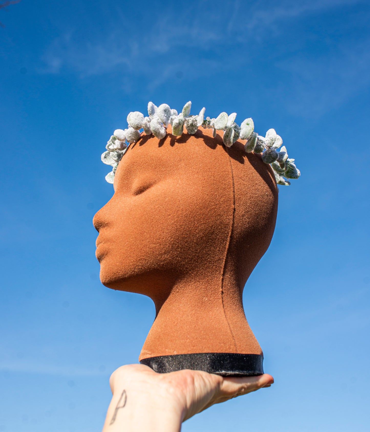 Winter Snowy Eucalyptus Crown