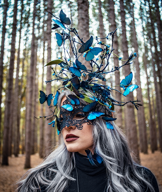 blue morpho butterfly set