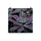 The Purple Succulent Garden Art Print is a beautiful way to show off a love for plants, succulents, and photography. Nature is showing off in this photo with purple-toned succulents and their gorgeously shaped leaves. The perfect moody-toned photo for a cozy room.